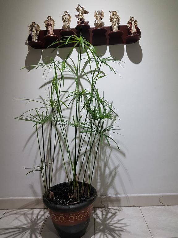 דירות בוגוטה Tu Hogar Cerca A La Zona T מראה חיצוני תמונה